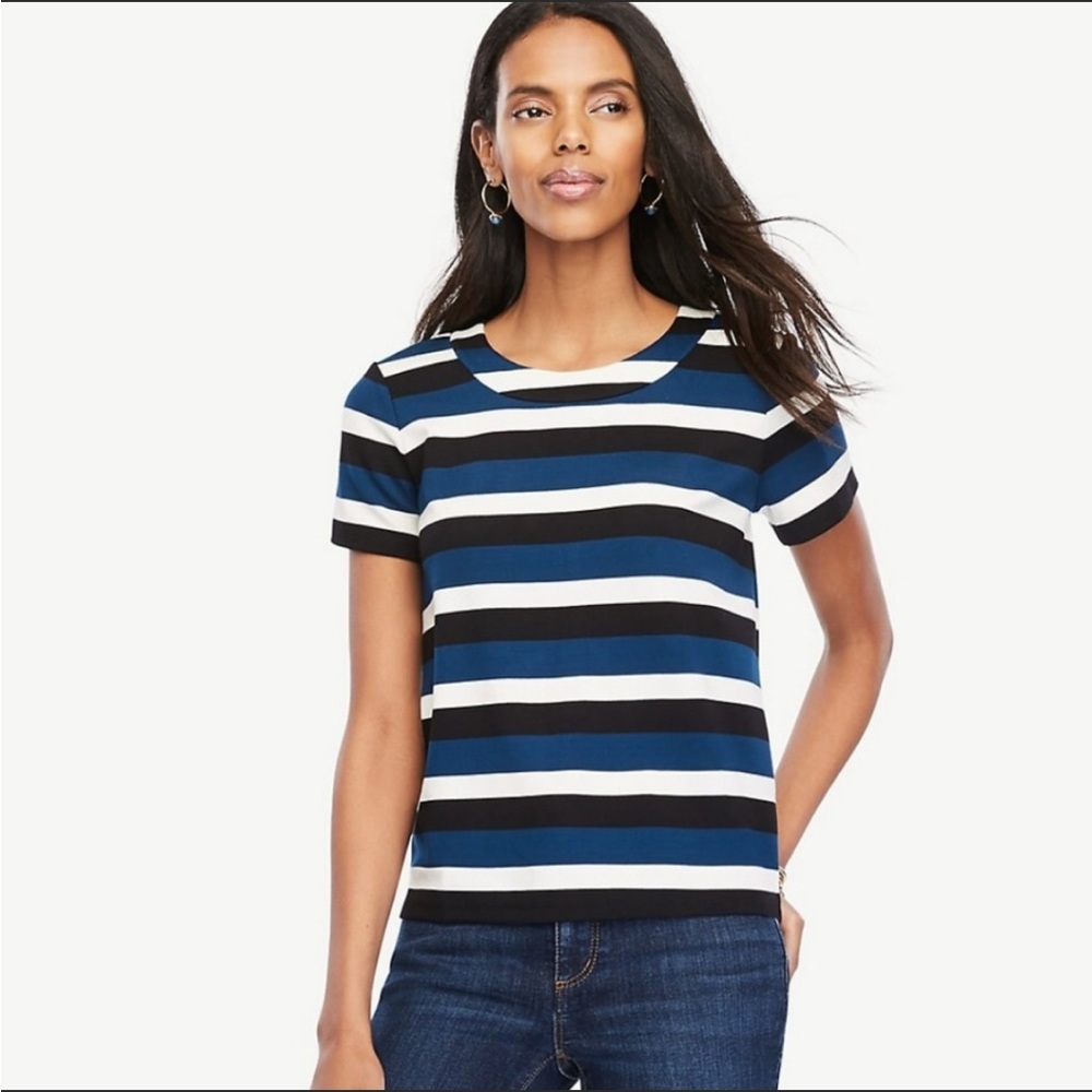 π»3/$20 Ann Taylor Blue & White Striped Double Face Short Sleeve Top Tee, Size L